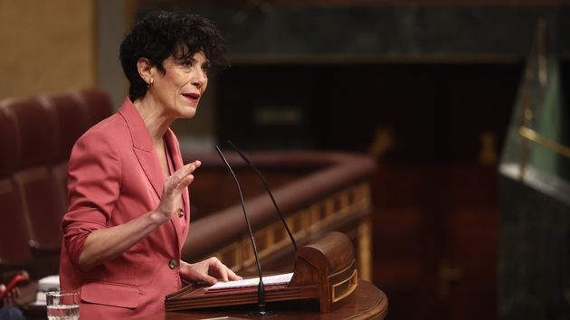 Elma Saiz en el Congreso de los Diputados