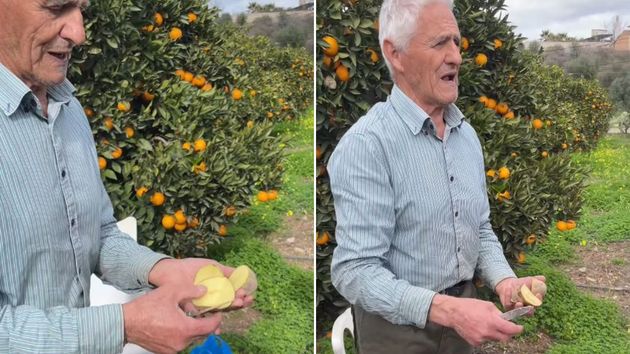 el abuelo enseñando las patatas en el campo
