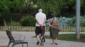 Dos personas mayores paseando con su perro, en un parque