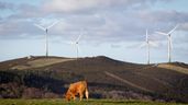 Molinos eólicos