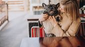 Perro con su dueña en un bar.