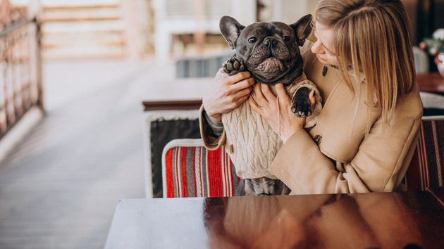 Perro con su dueña en un bar.