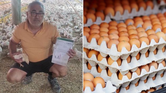 eloy ureña con un pollo y una factura y unos cartones de huevos