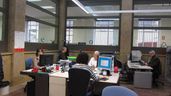 Un grupo aleatorio de funcionarios trabajando