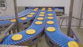 tortillas patata mercadona fabrica