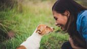 Persona recibiendo a un cachorro.
