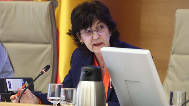 La presidenta de la Comisión Nacional de los Mercados y la Competencia, Cani Fernández Vicién.