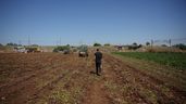 Agricultores durante la recolección de patatas en una explotación