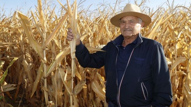 el agricultor con su campo de trigo