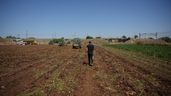 Un agricultor durante su jornada en el campo