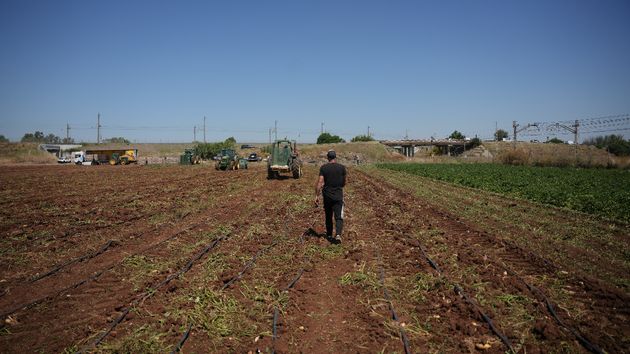 Un agricultor durante su jornada en el campo