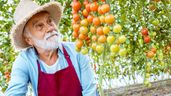 Imagen ilustrativa de un agricultor.