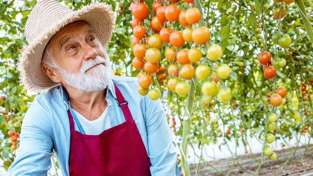Imagen ilustrativa de un agricultor.
