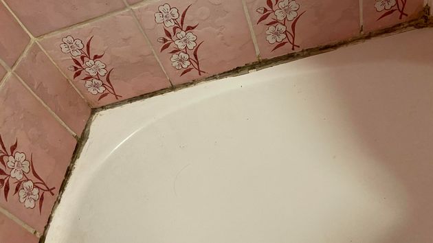 moho negro en la masilla del baño