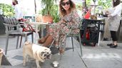 Una clienta con su perro sentada en una céntrica terraza madrileña 