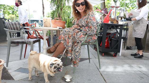 Una clienta con su perro sentada en una céntrica terraza madrileña 