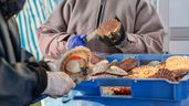 Unas personas trabajando en una fábrica de mariscos