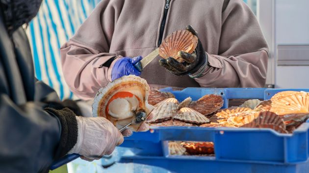 Unas personas trabajando en una fábrica de mariscos