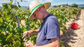Un hombre jubilado en el campo