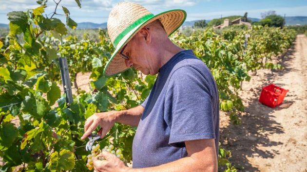 Un hombre jubilado en el campo