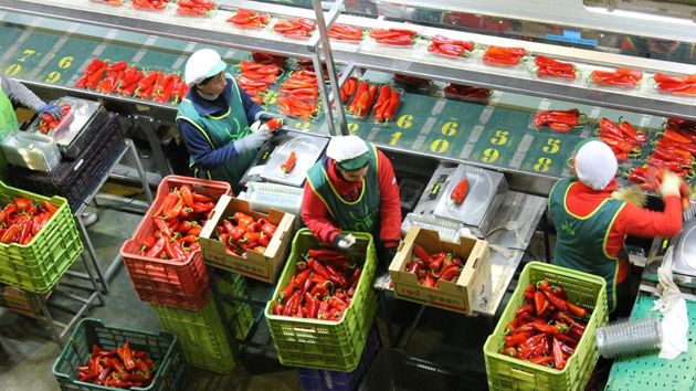 mujeres almacén agrícola