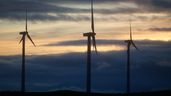 Molinos de viento