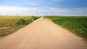 Un camino entre dos fincas