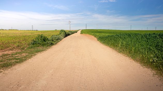 Un camino entre dos fincas