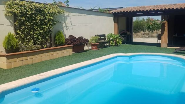 piscina jardin
