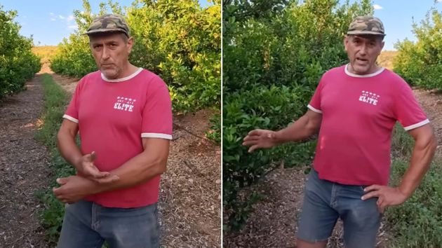 Juan Manuel, agricultor