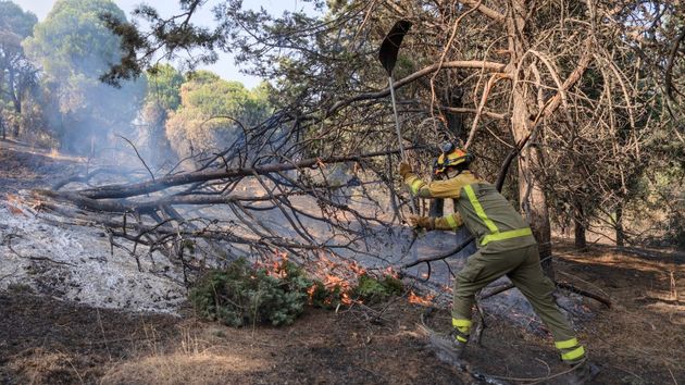 bombero apagando fuego