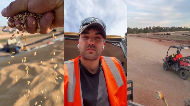 grano australia joven trabajo