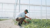 Un agricultor aleatorio dentro de un invernadero