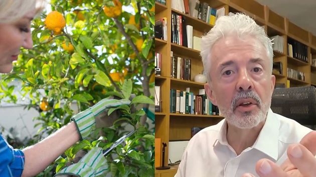 El abogado Natalio Valenzuela junto a la imagen de una mujer cortando fruta de un árbol 