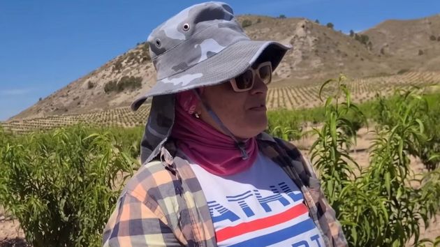luisa trabajando campo