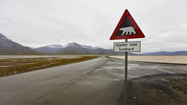 Señal de tráfico de advertencia de osos polares en Noruega