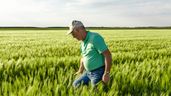 Un agricultor, en el campo