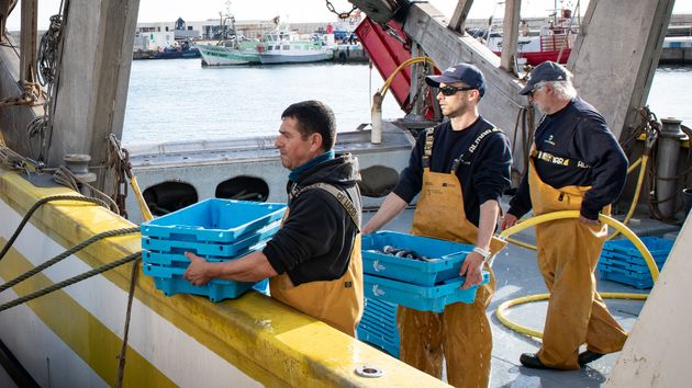 Pescadores faenando