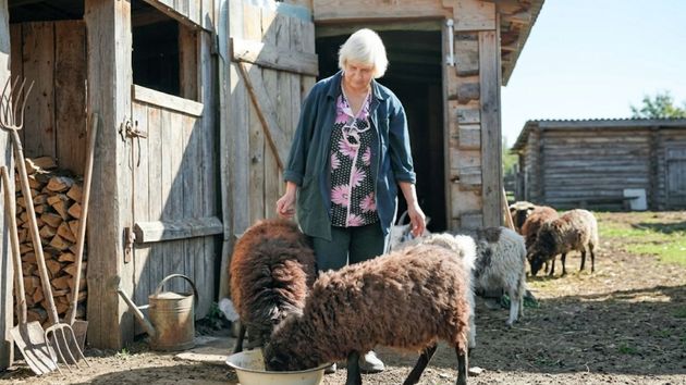 Una anciana junto a sus ovejas 