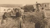 Jóvenes trabajando en el campo.