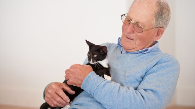 Un anciano con un gato