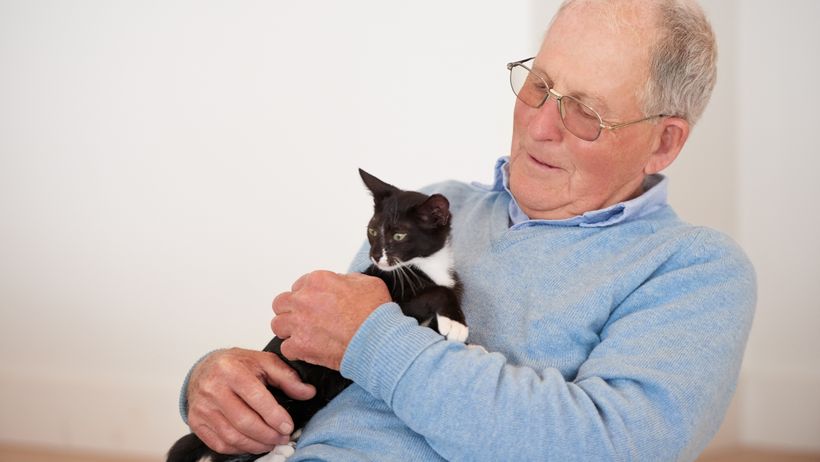 Un hombre de 82 años ofrece toda su herencia, incluida su casa, al desconocido que acepte cuidar de su gata hasta que muera