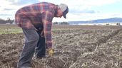 Una imagen del agricultor