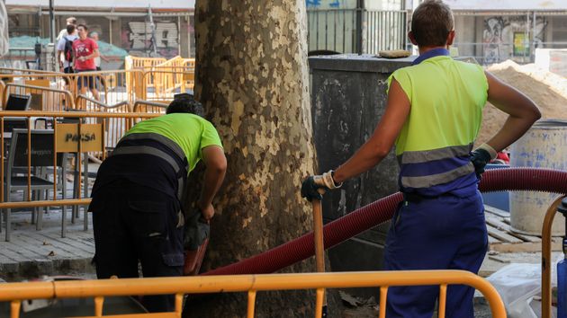 Dos albañiles trabajando