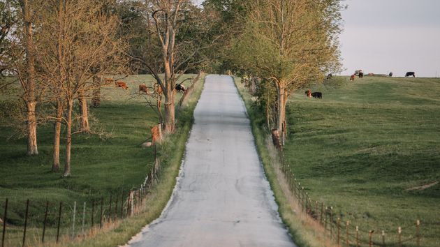 Un camino en una finca 