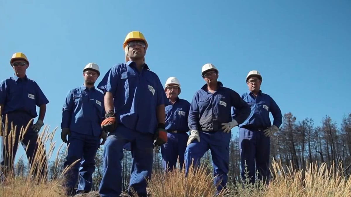 Tragsa lanza varias ofertas de empleo con 300 empleos