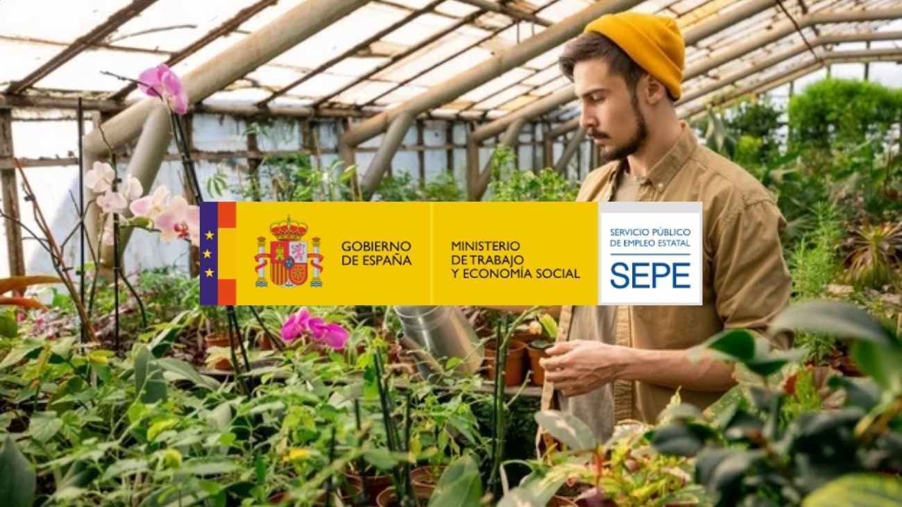 El SEPE ofrece 160 plazas para personal agrícola en Bélgica: sueldos desde 1.700 euros
