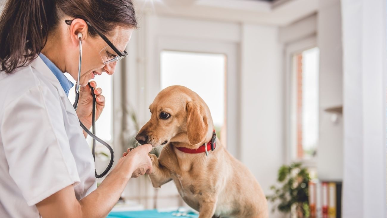 El Ayuntamiento de Málaga publica una oferta de empleo con 88 puestos de trabajo