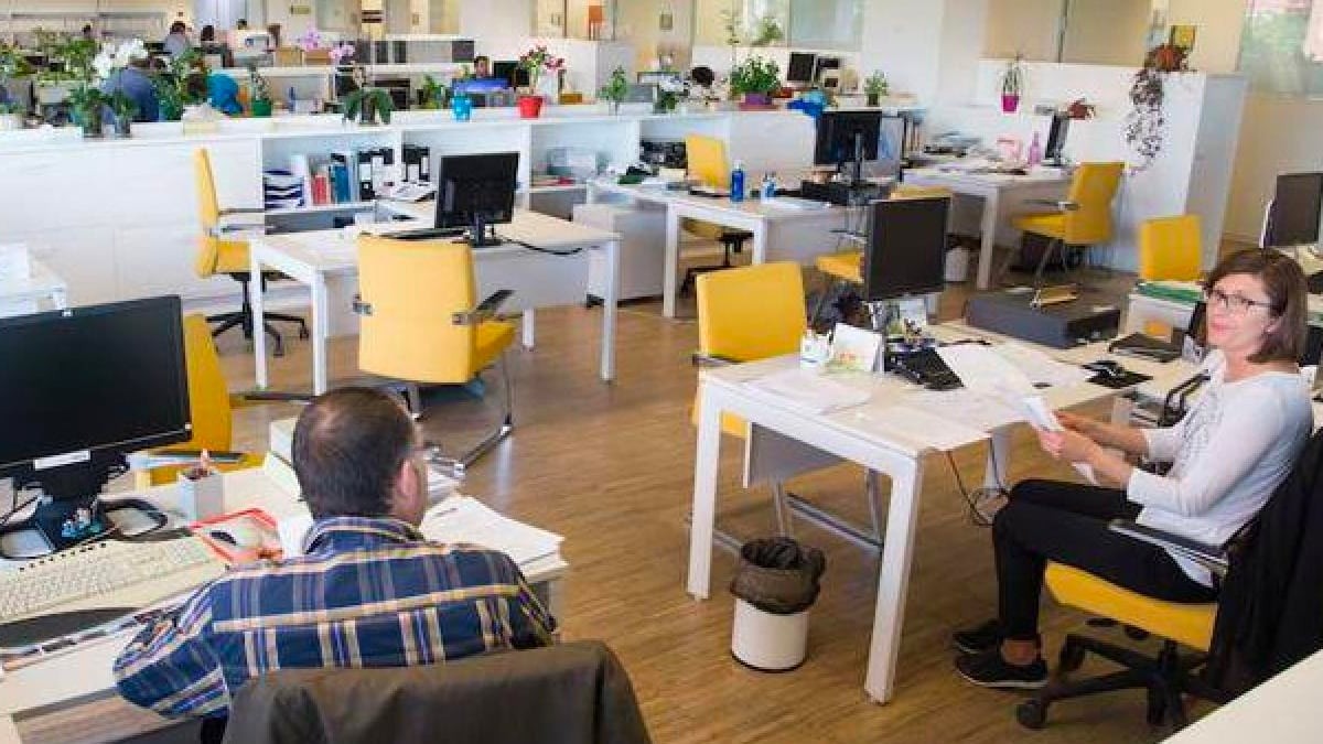 Lista de admitidos y excluidos en la Bolsa Única de Empleo de la Junta de Andalucía