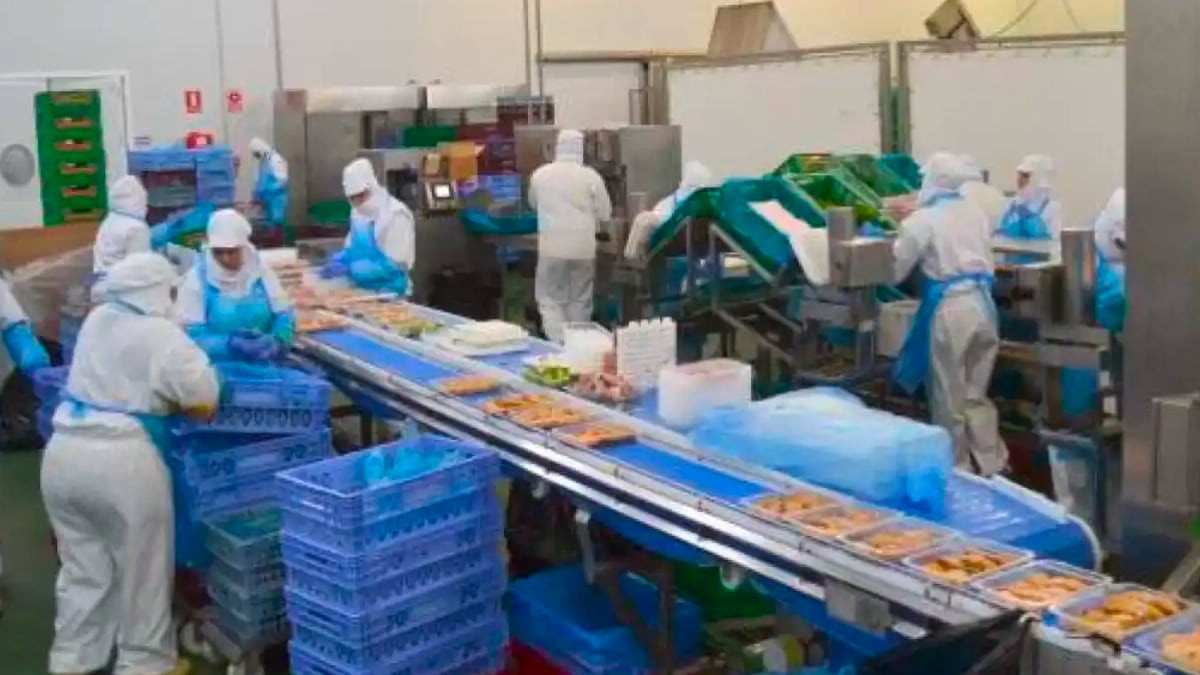 Paviso alimentación generará 100 empleo para una nave de carne en Sevilla